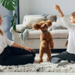 Ideas on how to play with your dog inside