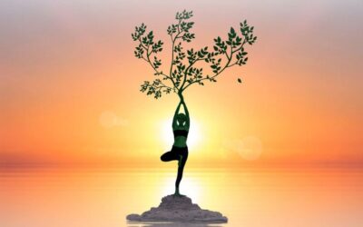 A Holistic Approach to Personal Health: Multimineral Supplements, Vegan Protein Powder, and Castor Oil
